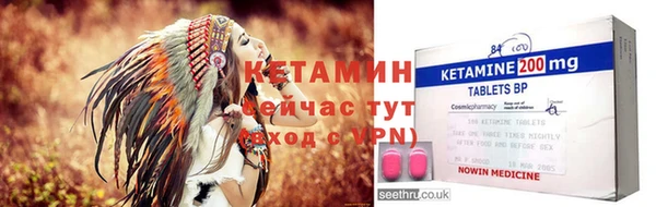 крисы Бородино