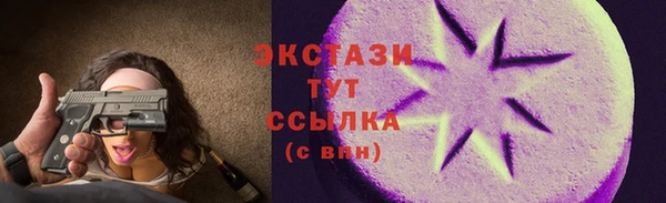 крисы Бородино