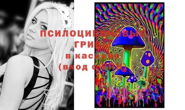 винт Бронницы