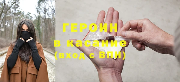 крисы Бородино