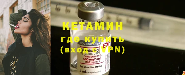 крисы Бородино