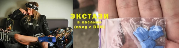 крисы Бородино