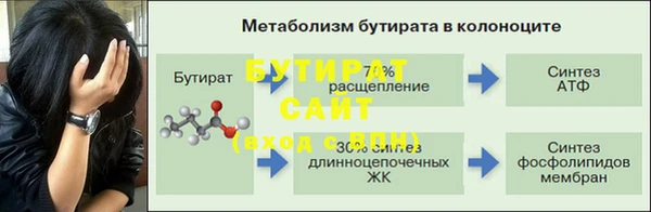 крисы Бородино