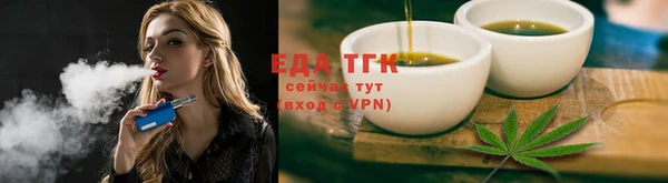 крисы Бородино