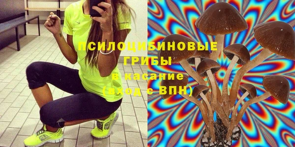 крисы Бородино