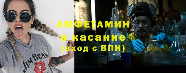 крисы Бородино