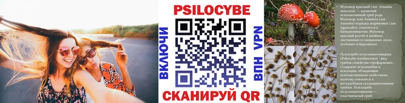 Псилоцибиновые грибы Psilocybine cubensis  как найти закладки  blacksprut tor  Верея 